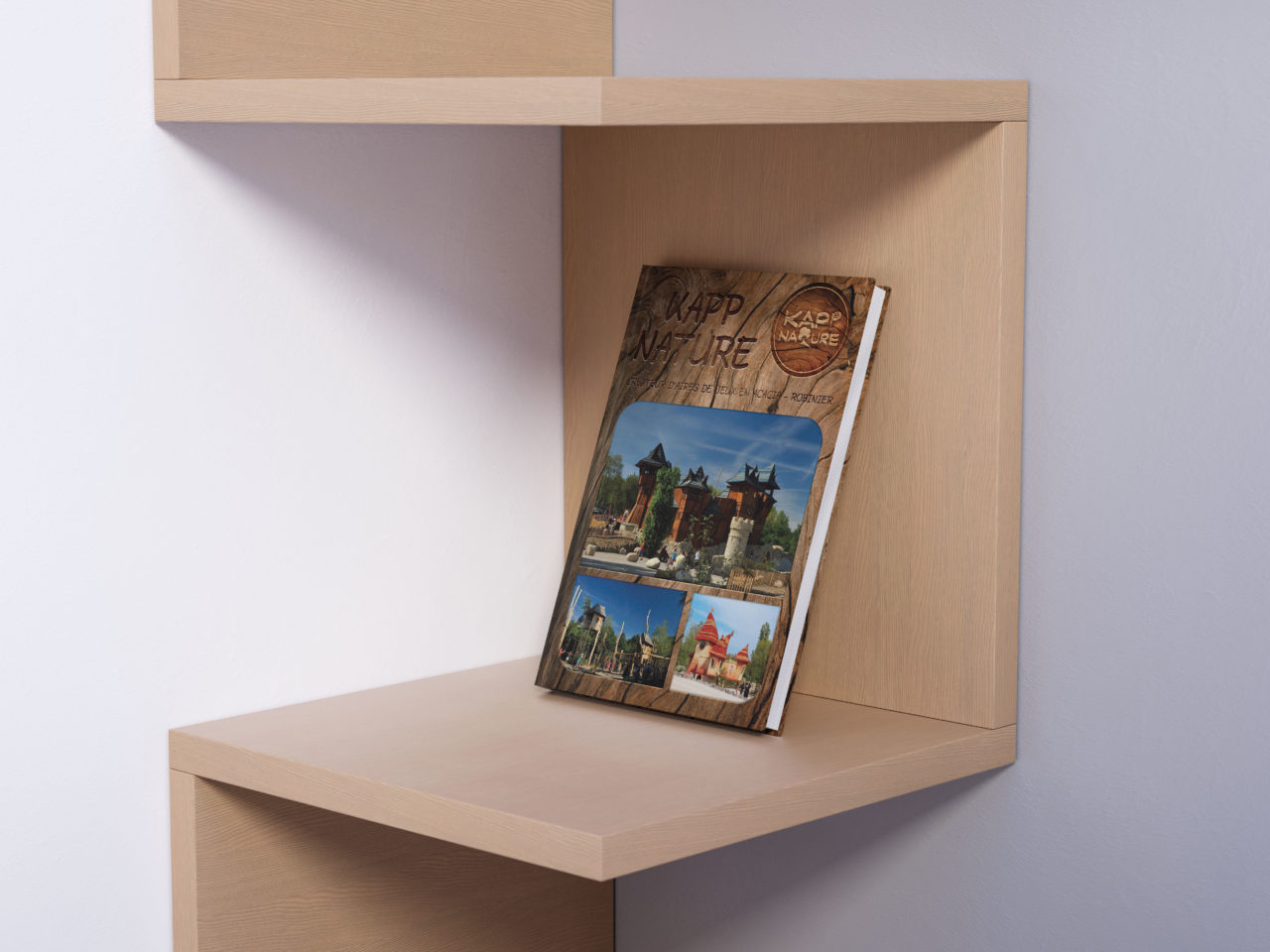 Modern Book Mockup by Anthony Boyd Graphics