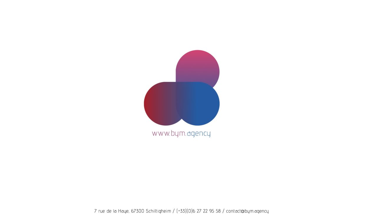 logo dev guide_1