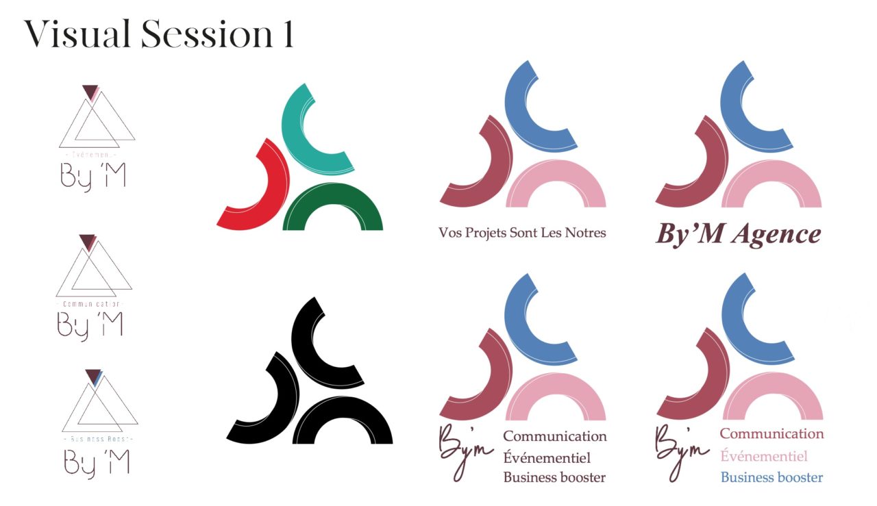 logo dev guide_3